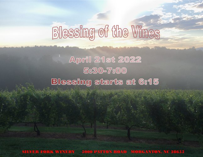 Blessing of the vines Flyer   4-6-22   Single Photo.jpg